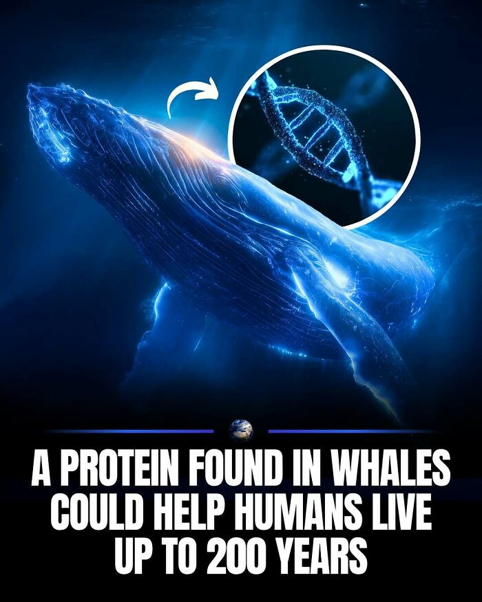 Wait, They Actually Ranked That?! 100 Mind-Blowing Science & Invention Facts