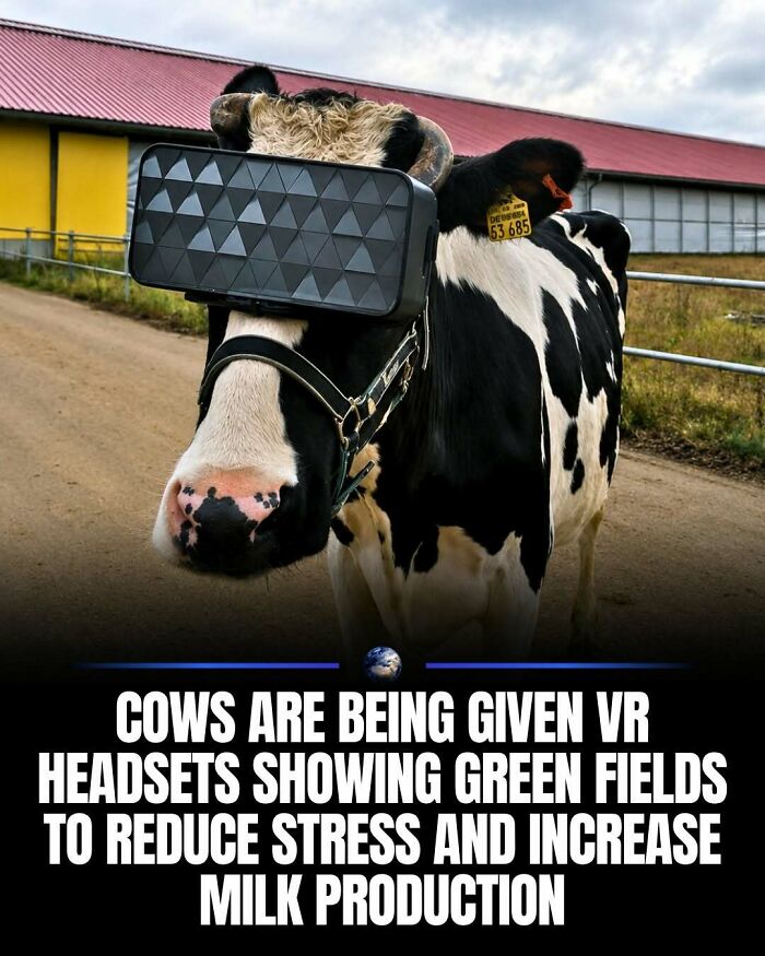 Wait, They Actually Ranked That?! 100 Mind-Blowing Science & Invention Facts