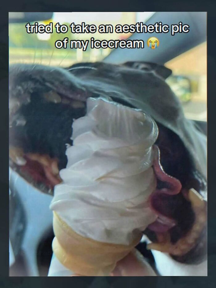 Wait, You’ve Gotta See These 67 Hilariously Weird Meme Gems!