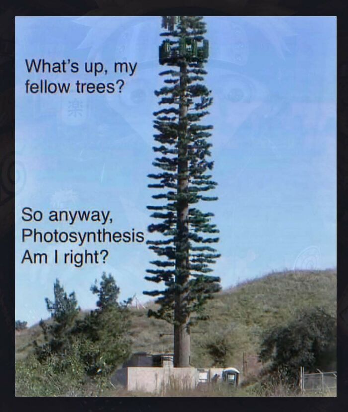 Wait, You’ve Gotta See These 67 Hilariously Weird Meme Gems!