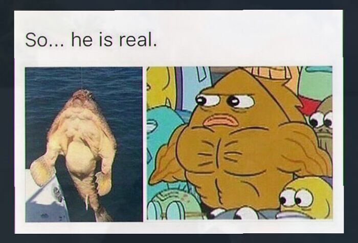 Wait, You’ve Gotta See These 67 Hilariously Weird Meme Gems!