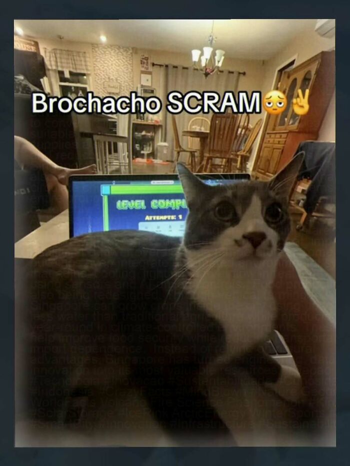 Wait, You’ve Gotta See These 67 Hilariously Weird Meme Gems!