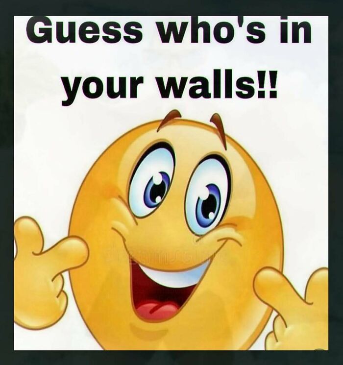 Wait, You’ve Gotta See These 67 Hilariously Weird Meme Gems!