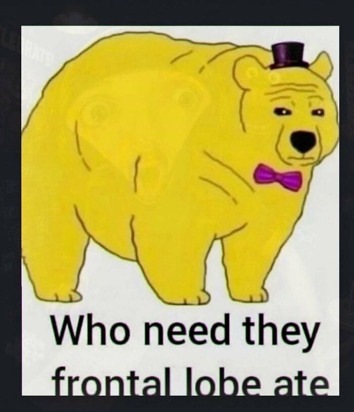 Wait, You’ve Gotta See These 67 Hilariously Weird Meme Gems!