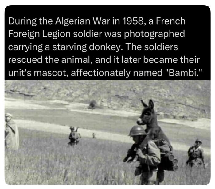 Let's Dive into History’s Wildest War Stories You Never Heard Of