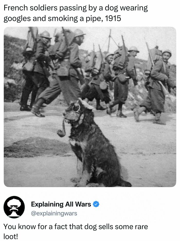 Let's Dive into History’s Wildest War Stories You Never Heard Of