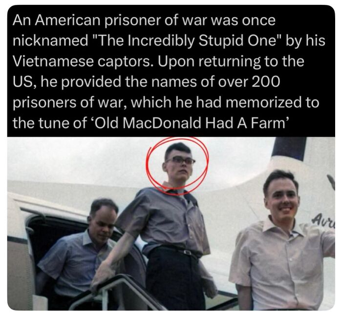 Let's Dive into History’s Wildest War Stories You Never Heard Of