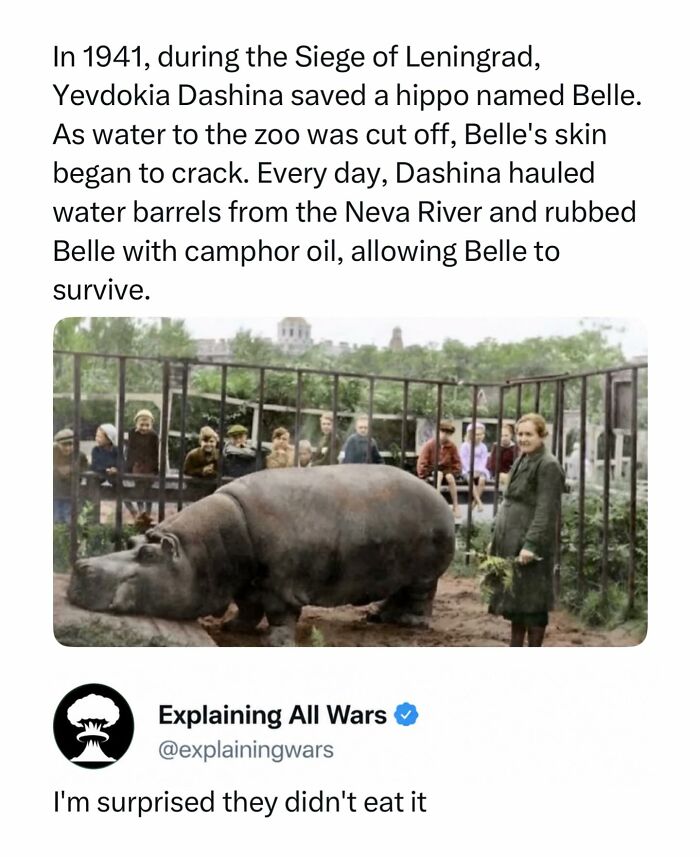 Let's Dive into History’s Wildest War Stories You Never Heard Of