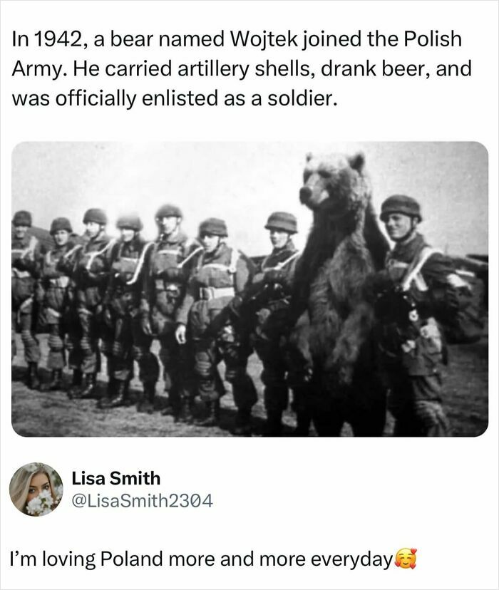 Let's Dive into History’s Wildest War Stories You Never Heard Of