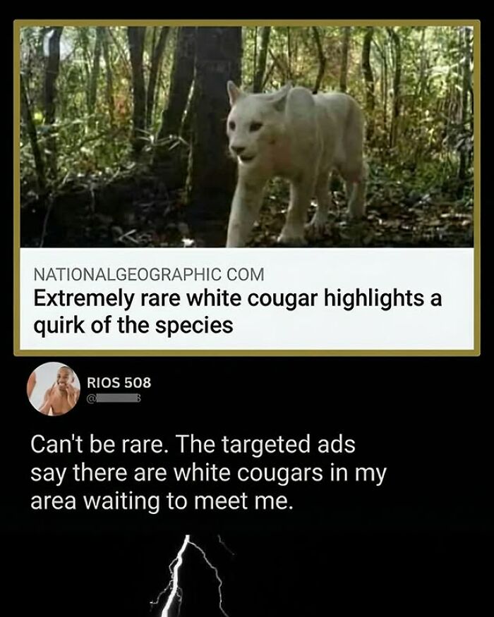 Wait, They Actually Ranked These Top Social Media Comments?