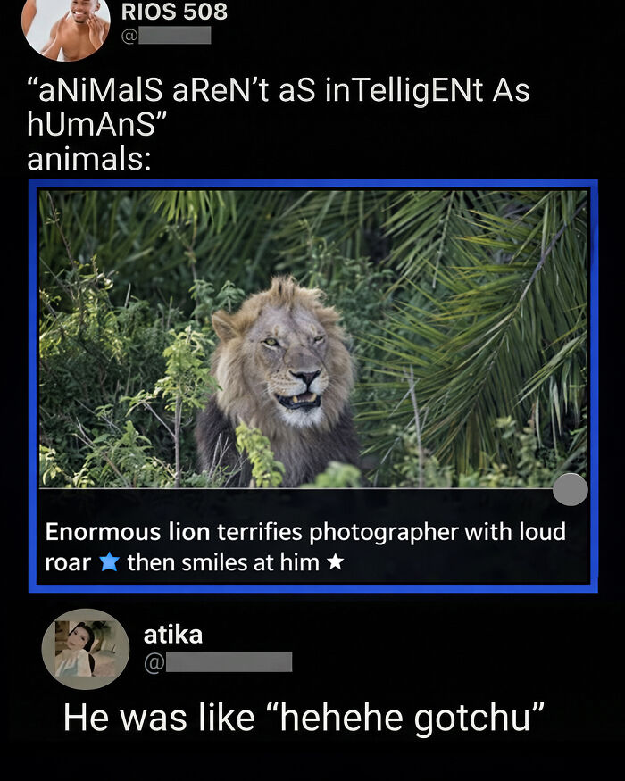 Wait, They Actually Ranked These Top Social Media Comments?
