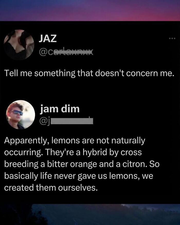 Wait, They Actually Ranked These Top Social Media Comments?