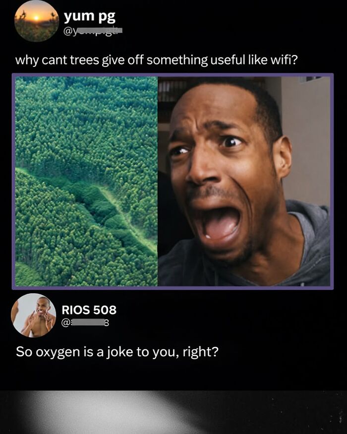 Wait, They Actually Ranked These Top Social Media Comments?