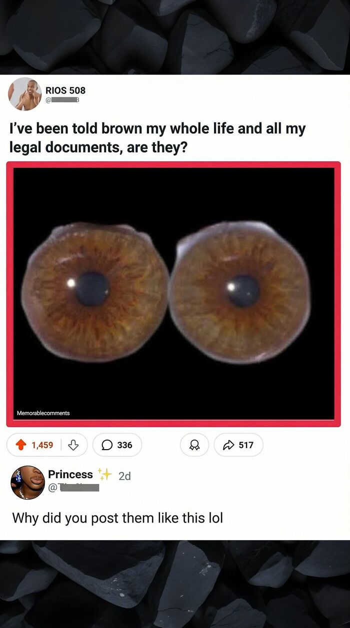 Wait, They Actually Ranked These Top Social Media Comments?