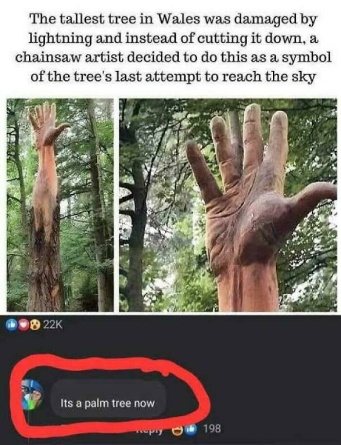 That Tree Just Gets It