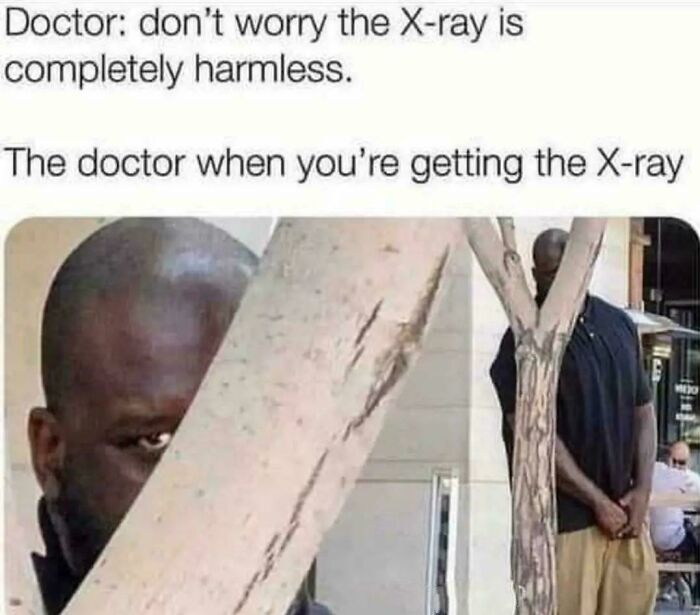 Wait, They Actually Ranked These 53 Memes? Get Ready to Laugh Your Socks Off!