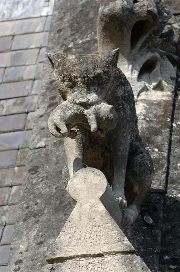 Cat Statue On Castle Roof: Because Why Not? (Pierrefonds, France)