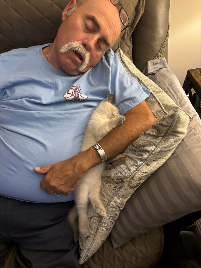 Dad + New Kitten = Instant Nap Buddies