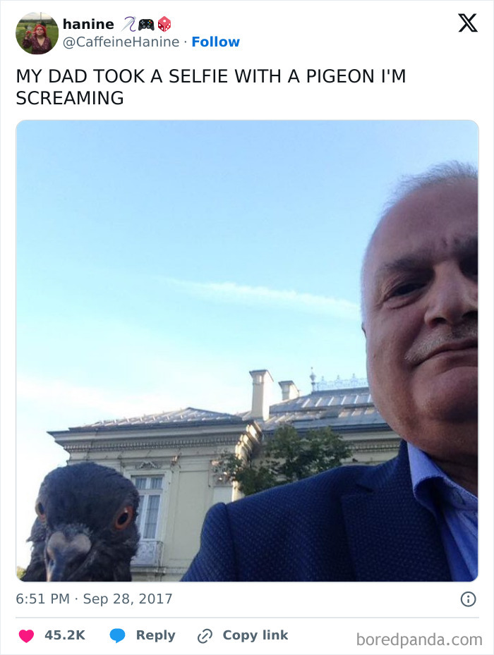 Meet Pigeon Dad, Guardian of The Bird World