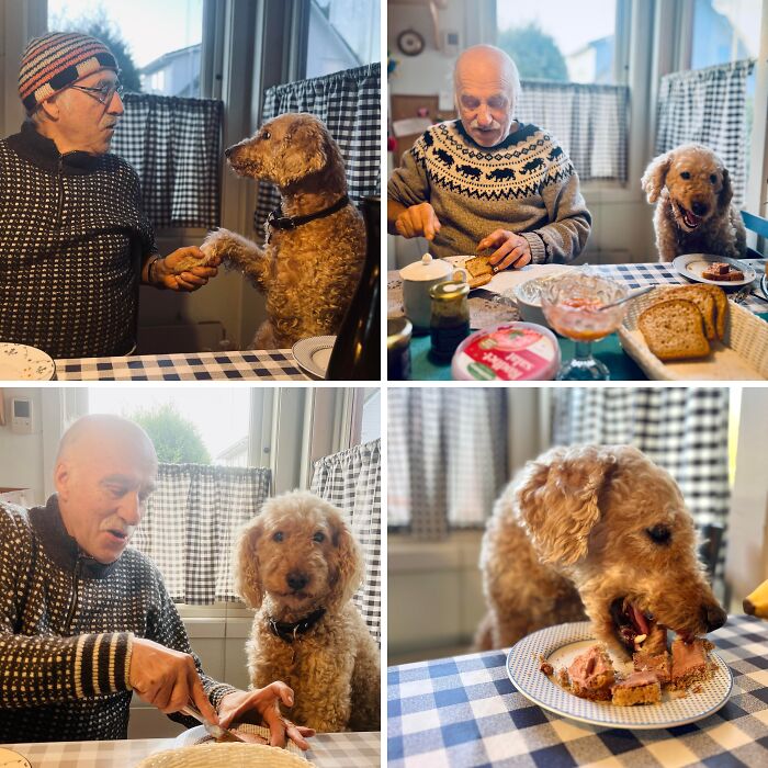 Breakfast Buddies: Dad, Ruby, And Liver Sandwiches