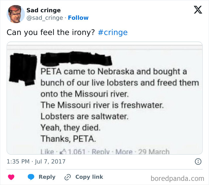 Let's Dive Into The Cringe-pool: 77 Awkward Moments You'll Love To Hate