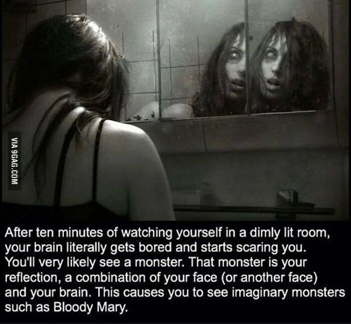 Wait, They Actually Shared These Creepy Stories?!