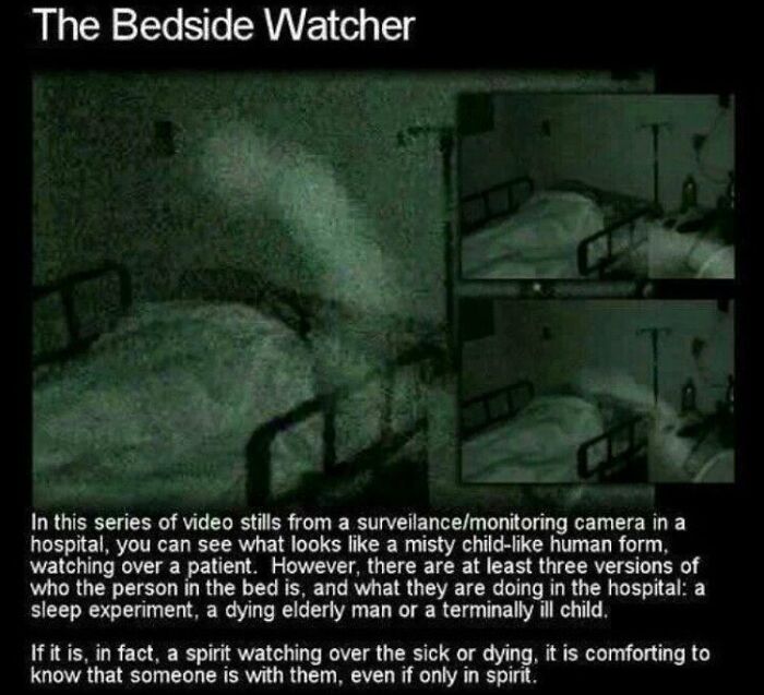 Wait, They Actually Shared These Creepy Stories?!