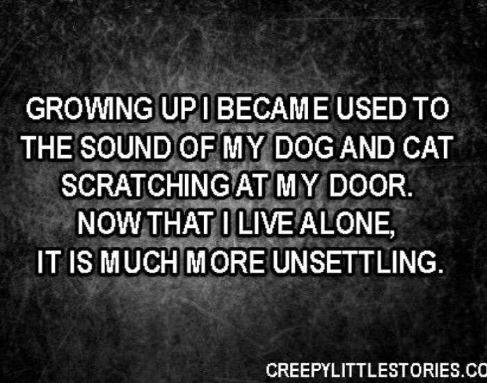 Wait, They Actually Shared These Creepy Stories?!