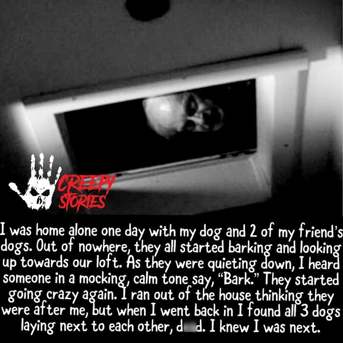 Wait, They Actually Shared These Creepy Stories?!