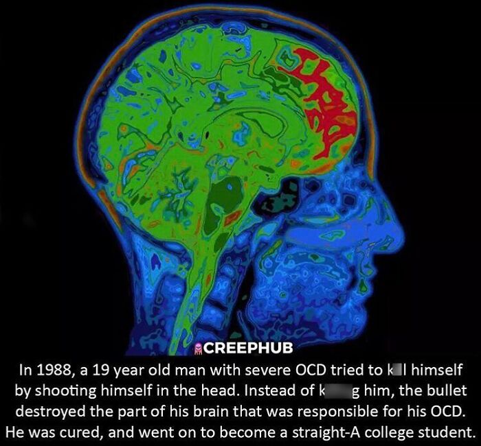 Wait, They Actually Shared These Creepy Stories?!