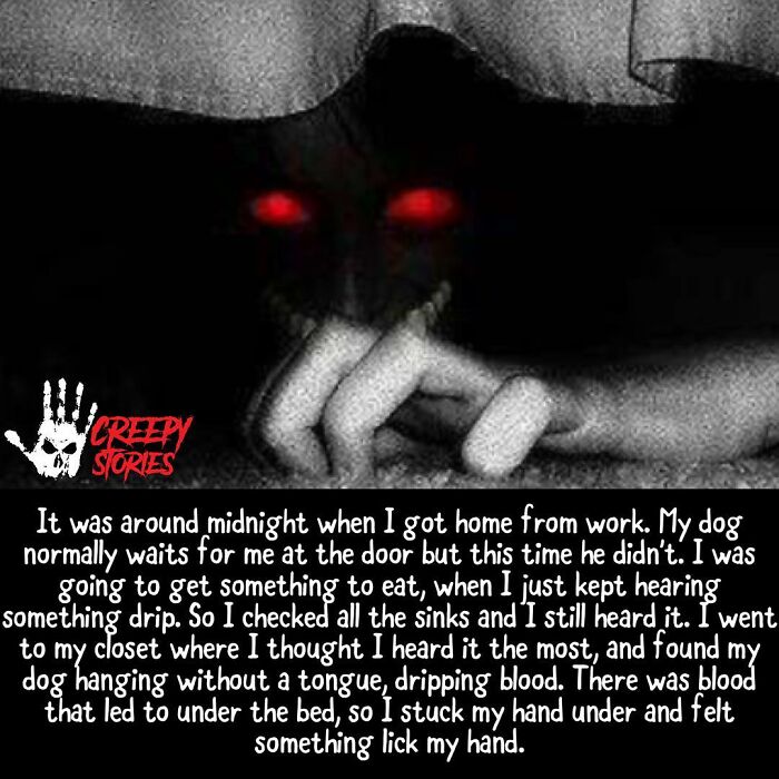 Wait, They Actually Shared These Creepy Stories?!