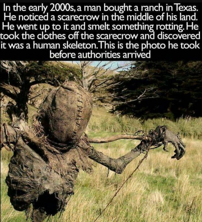Wait, They Actually Shared These Creepy Stories?!