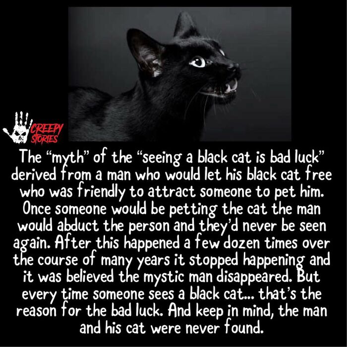 Wait, They Actually Shared These Creepy Stories?!