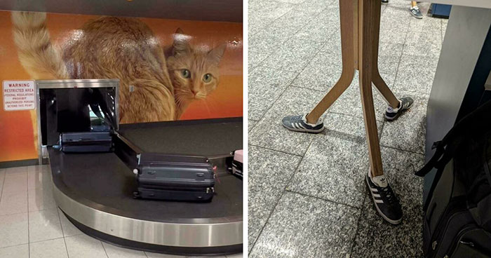 Wait, They Actually Took These Wild Airport Pics?
