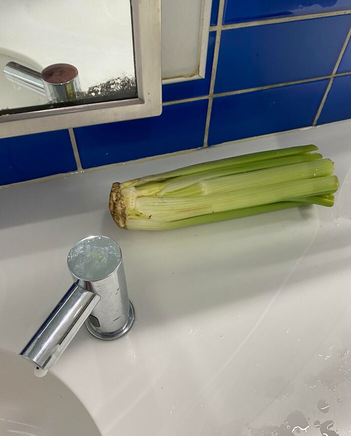 Interesting Discovery in a Men’s Room at CLT Terminal A