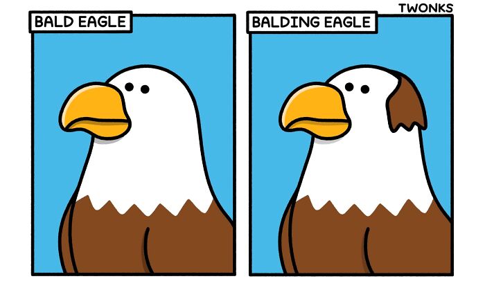 40 Comics That Are So Weirdly Funny, You'll Probably Laugh Out Loud