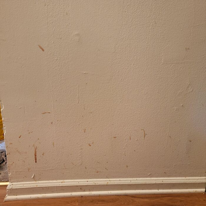 The 64 Absolutely Wild Things People Caught Their Partners Doing (And Couldn’t Unsee)