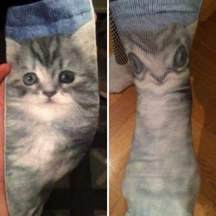 When Your Socks Are Basically Cat Murals