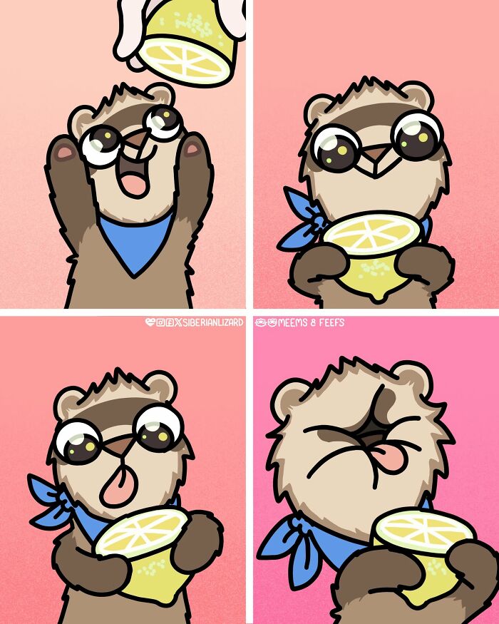Let's Dive Into 63 Hilarious Comics That Totally Nail The Ferret Life
