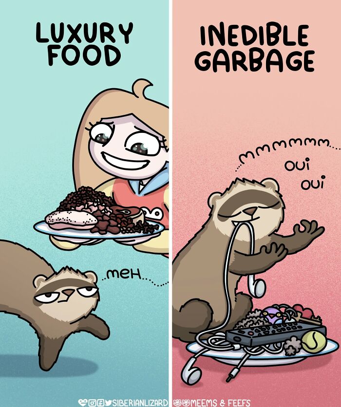 Let's Dive Into 63 Hilarious Comics That Totally Nail The Ferret Life