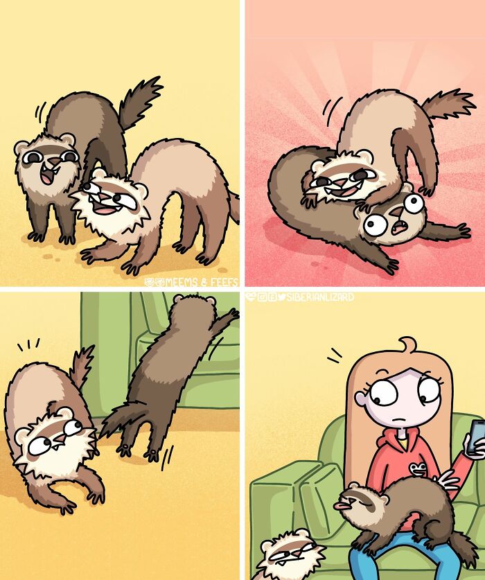 Let's Dive Into 63 Hilarious Comics That Totally Nail The Ferret Life