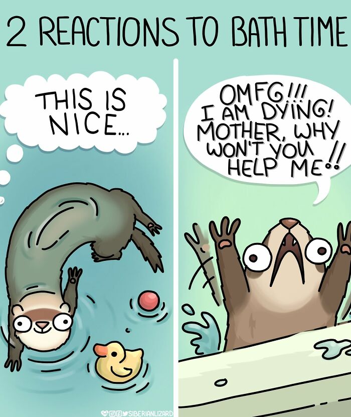 Let's Dive Into 63 Hilarious Comics That Totally Nail The Ferret Life