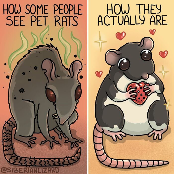 Let's Dive Into 63 Hilarious Comics That Totally Nail The Ferret Life