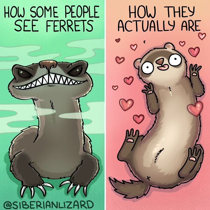 Let's Dive Into 63 Hilarious Comics That Totally Nail The Ferret Life