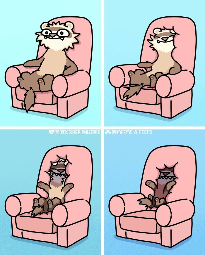 Let's Dive Into 63 Hilarious Comics That Totally Nail The Ferret Life