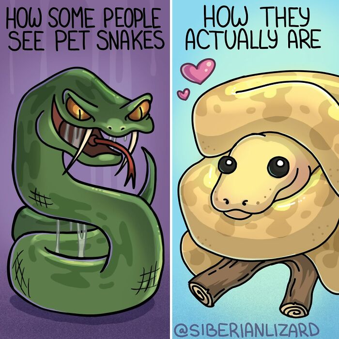 Let's Dive Into 63 Hilarious Comics That Totally Nail The Ferret Life