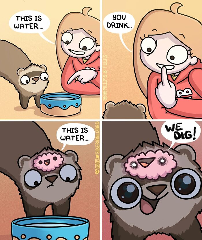 Let's Dive Into 63 Hilarious Comics That Totally Nail The Ferret Life