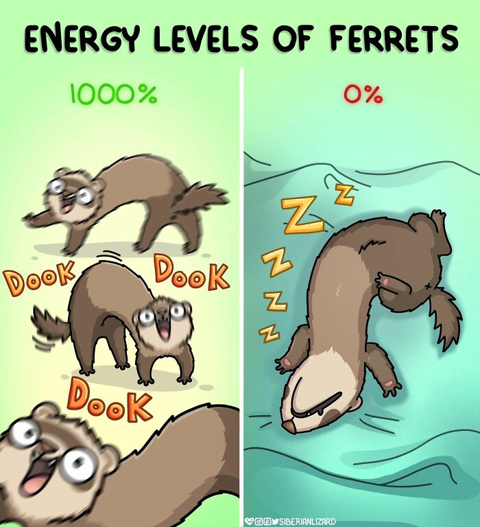 Let's Dive Into 63 Hilarious Comics That Totally Nail The Ferret Life