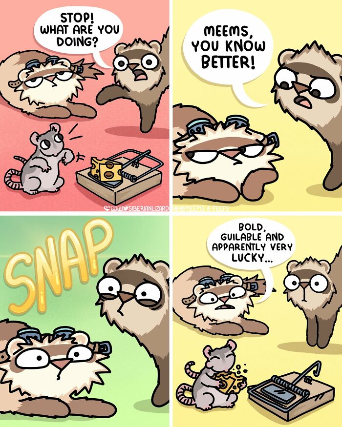 Let's Dive Into 63 Hilarious Comics That Totally Nail The Ferret Life