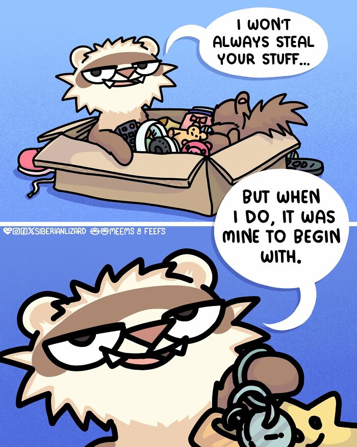 Let's Dive Into 63 Hilarious Comics That Totally Nail The Ferret Life